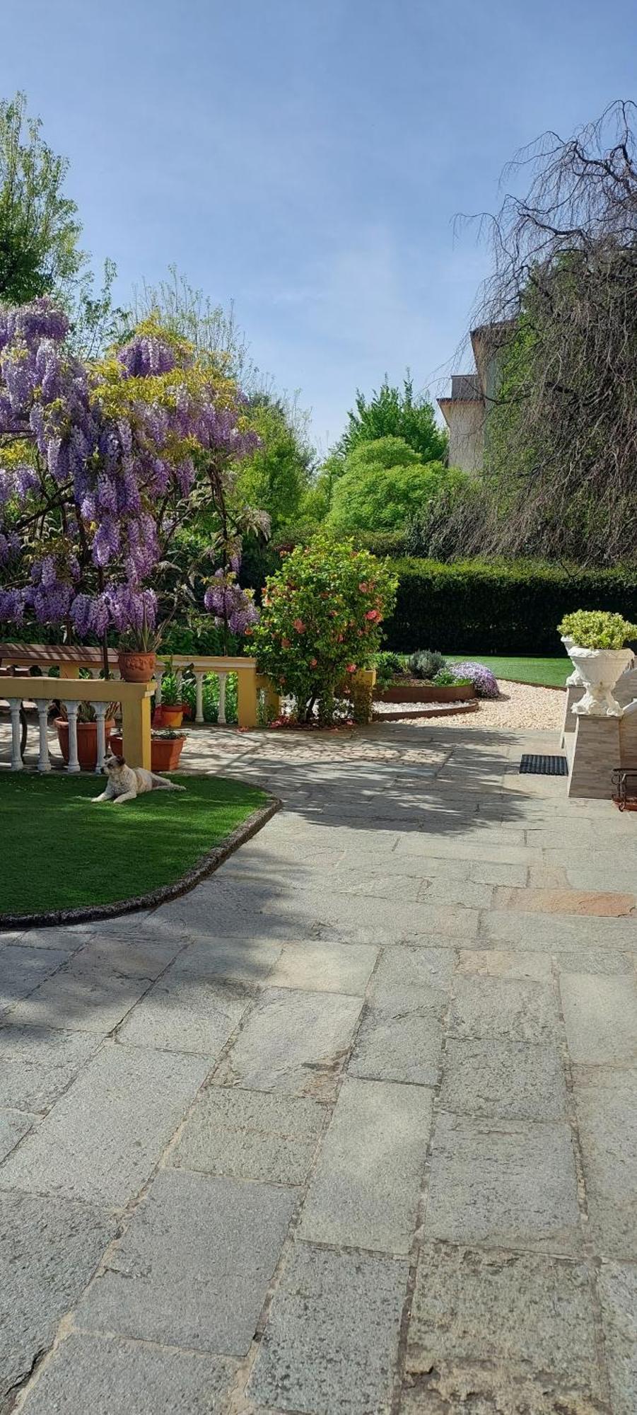 Villa Lina Cremona Exterior photo